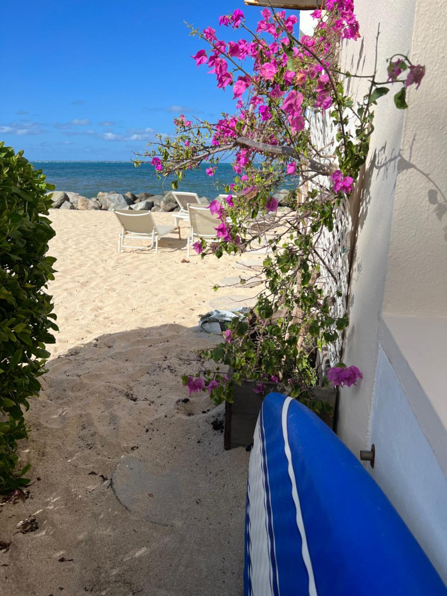 Sweet Home SXM Baie Nettlé Pieds dans l'eau Sandy Ground Esterno foto